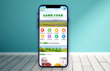 內(nèi)蒙古網(wǎng)站建設(shè),內(nèi)蒙古蒙禮供應(yīng)鏈管理有限公司